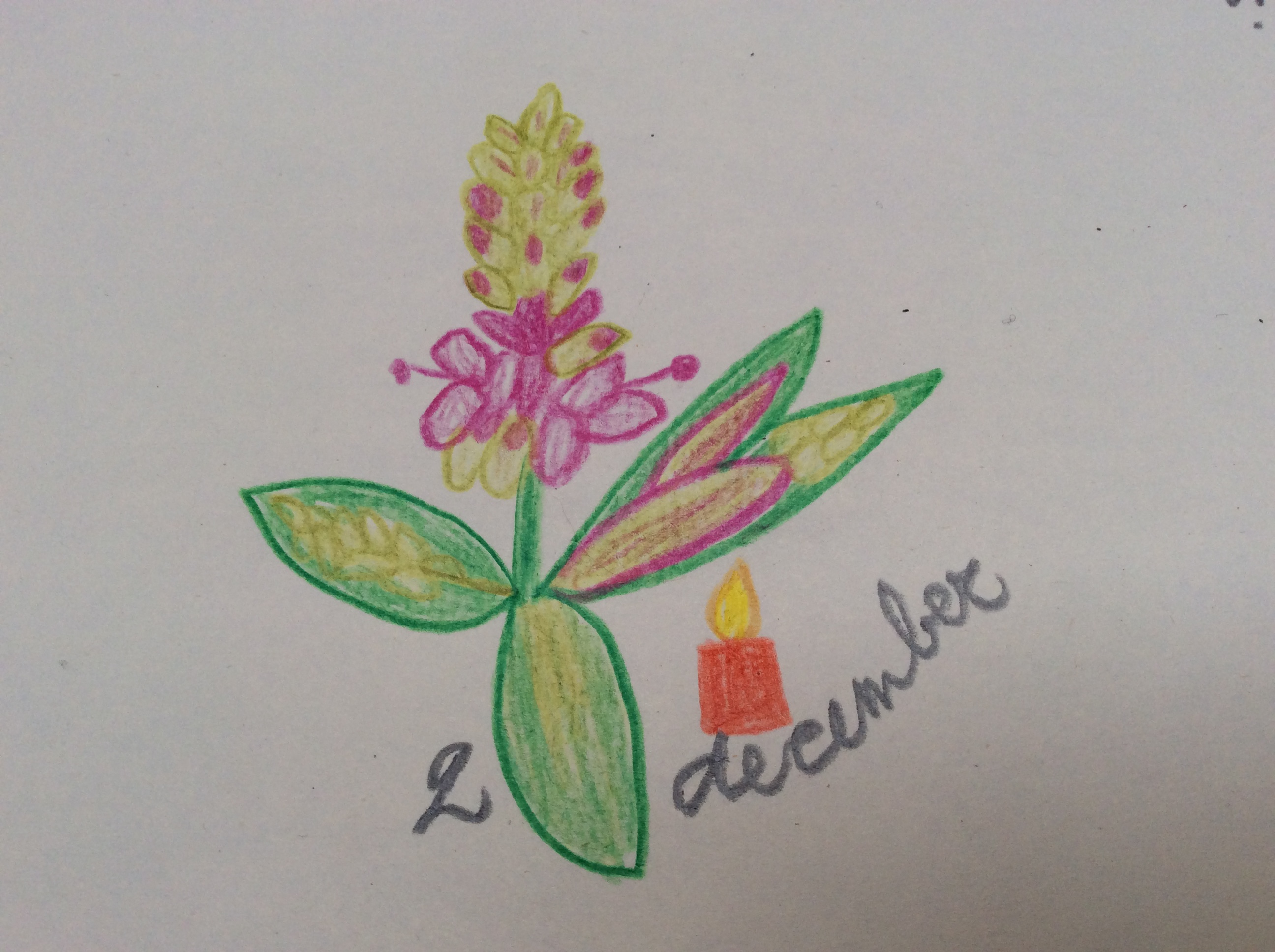 bloem