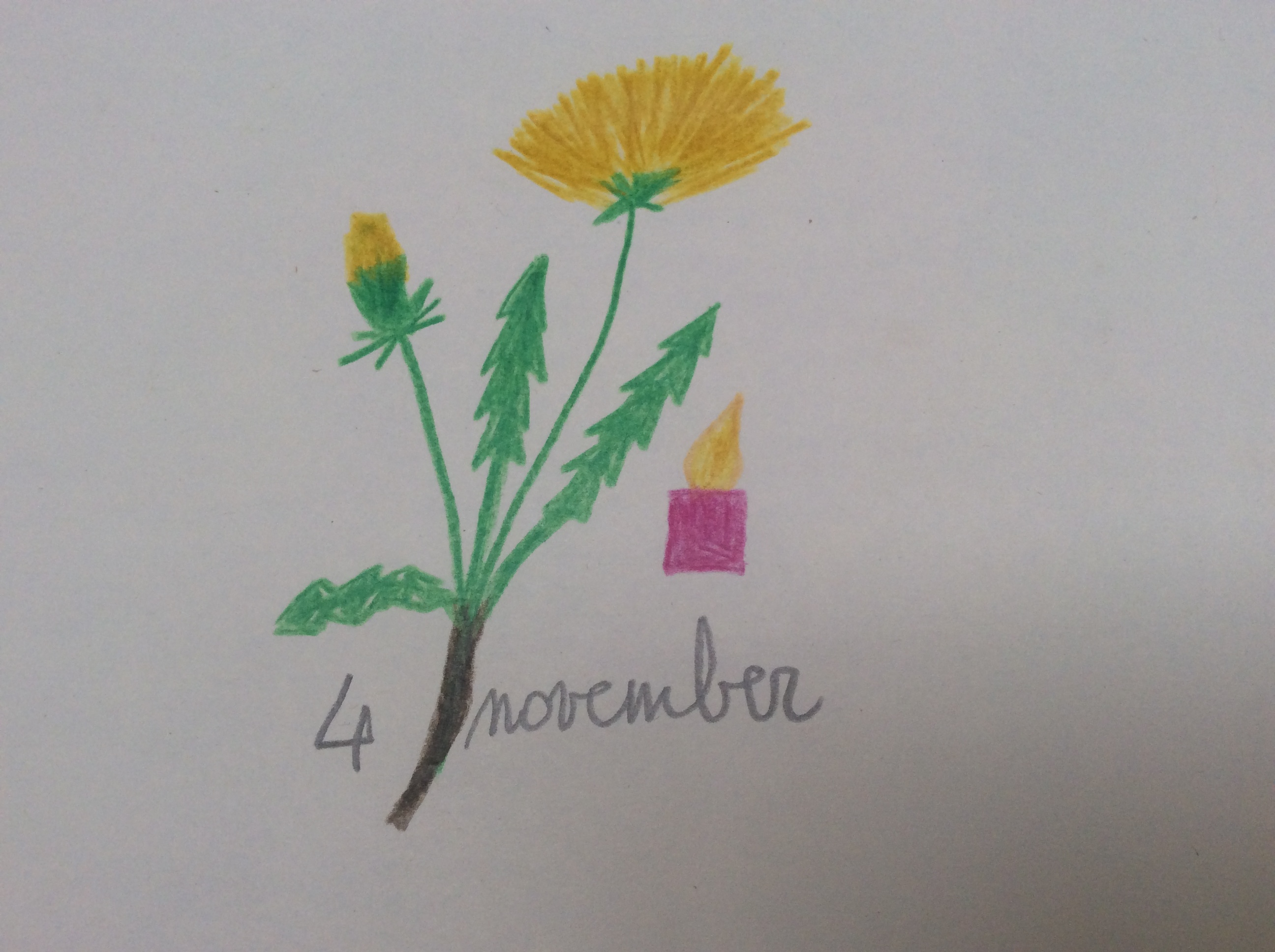 bloem