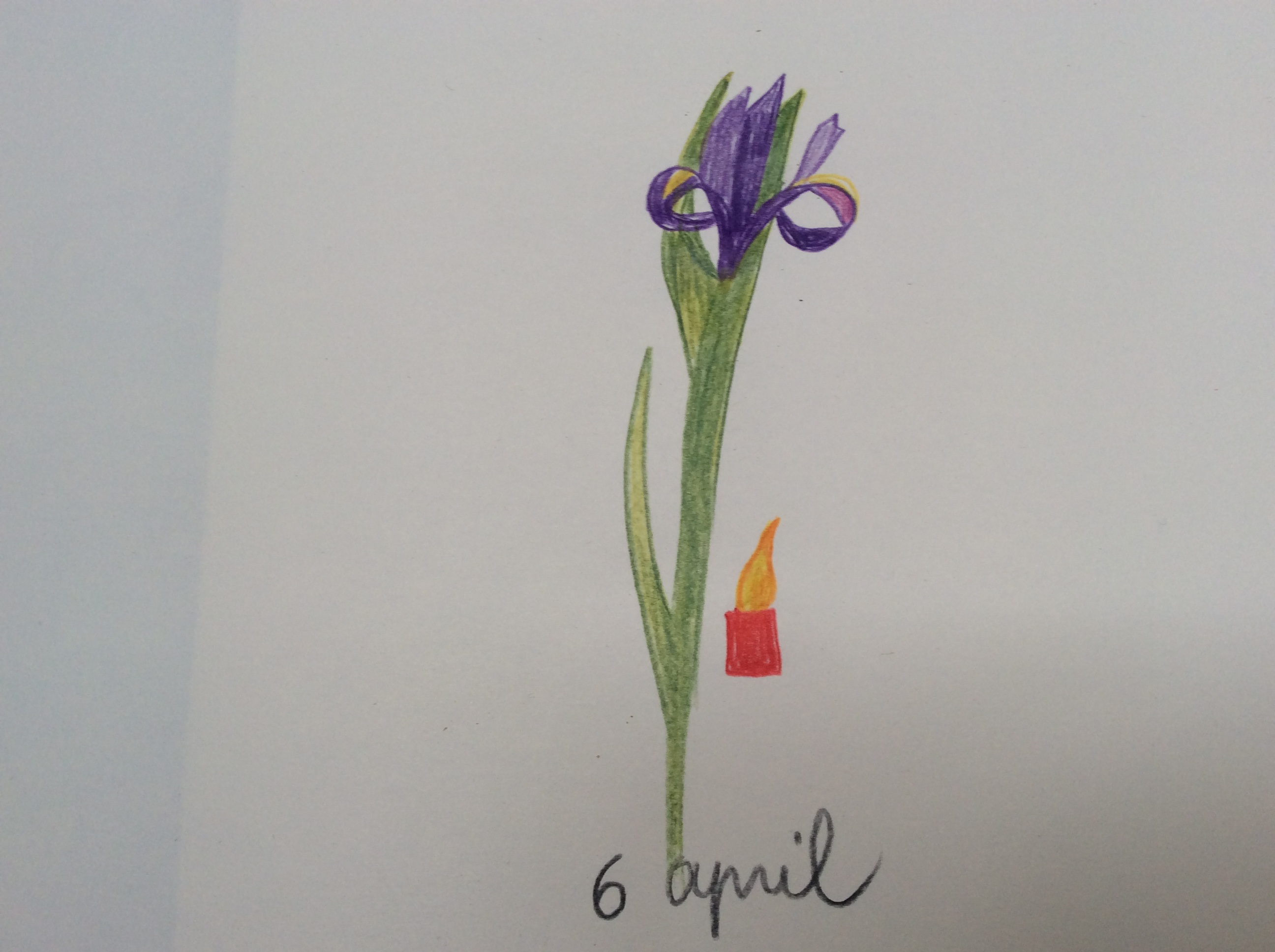 bloem