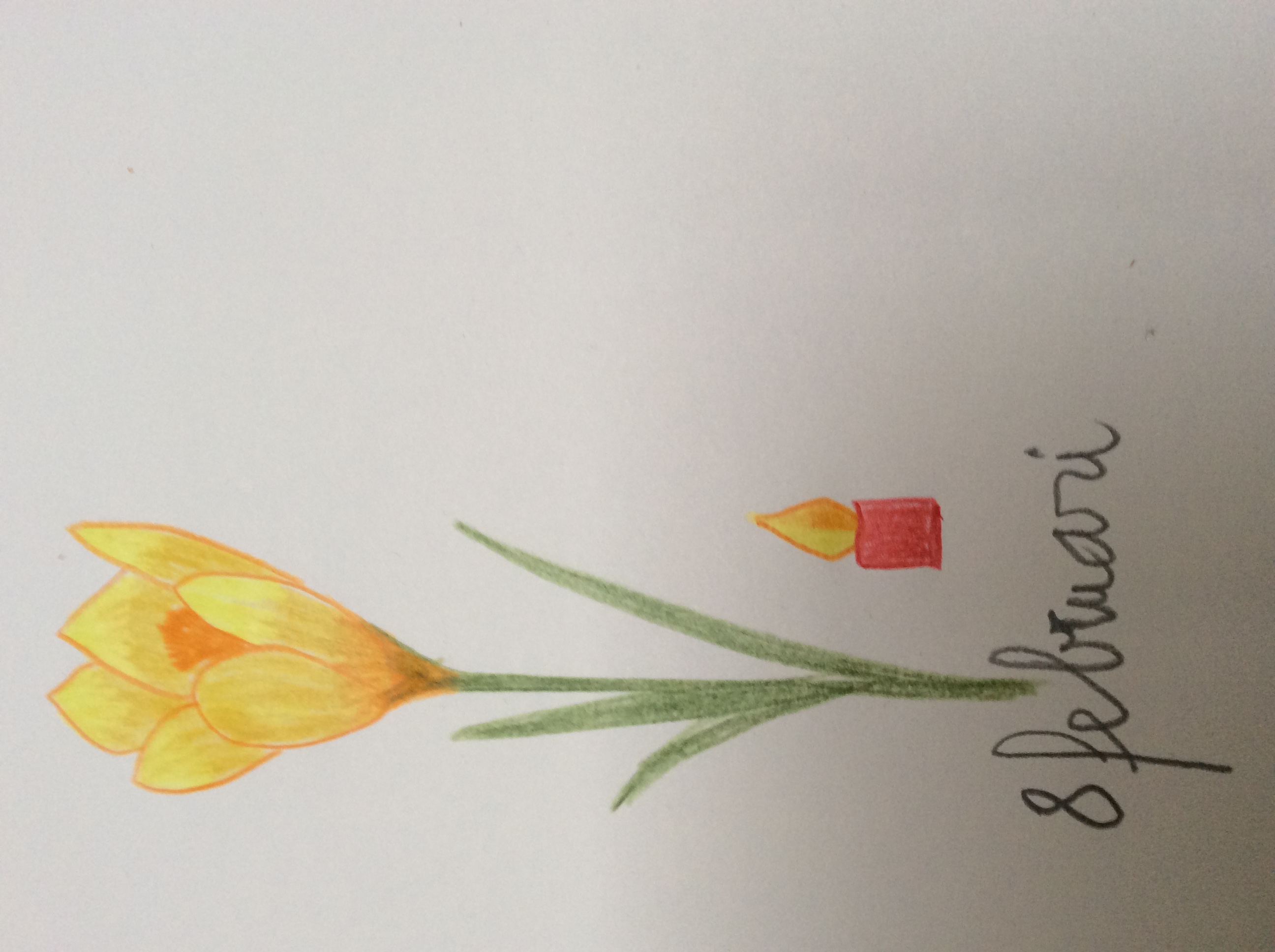 bloem