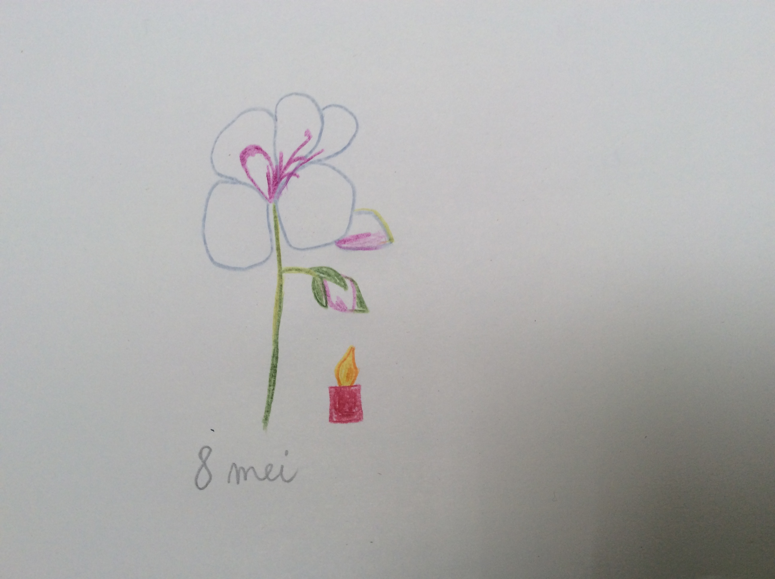 bloem