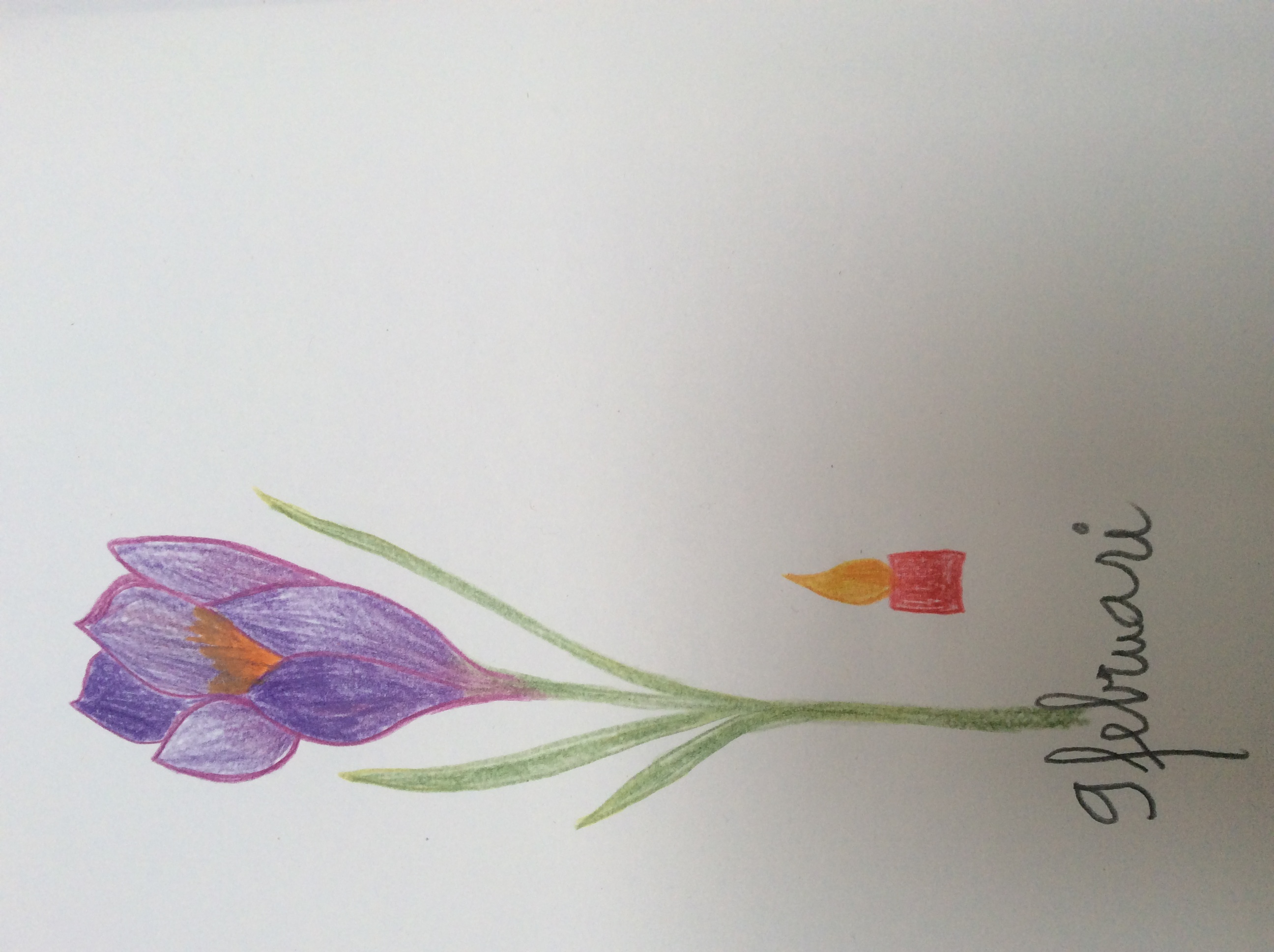 bloem
