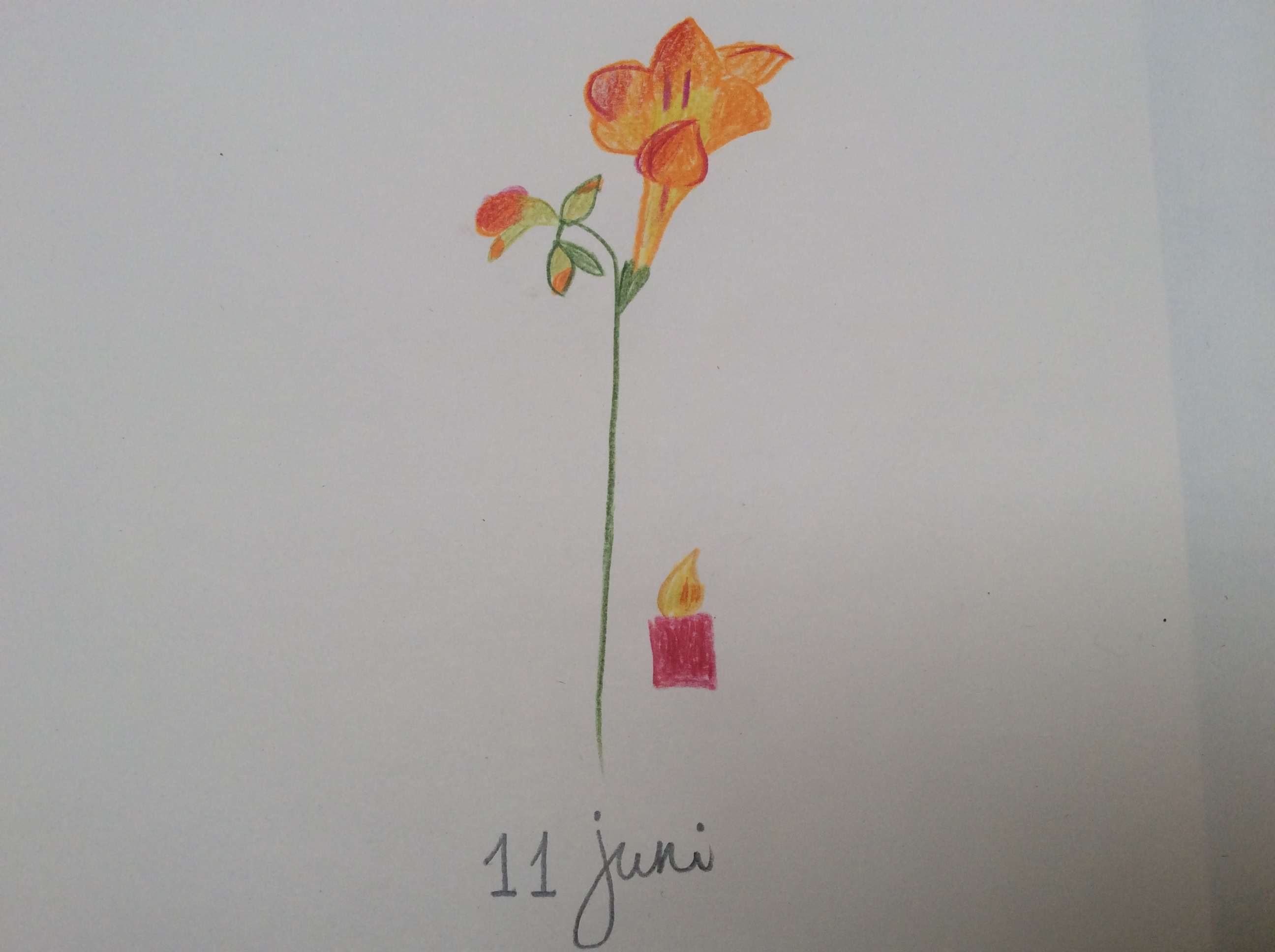 bloem