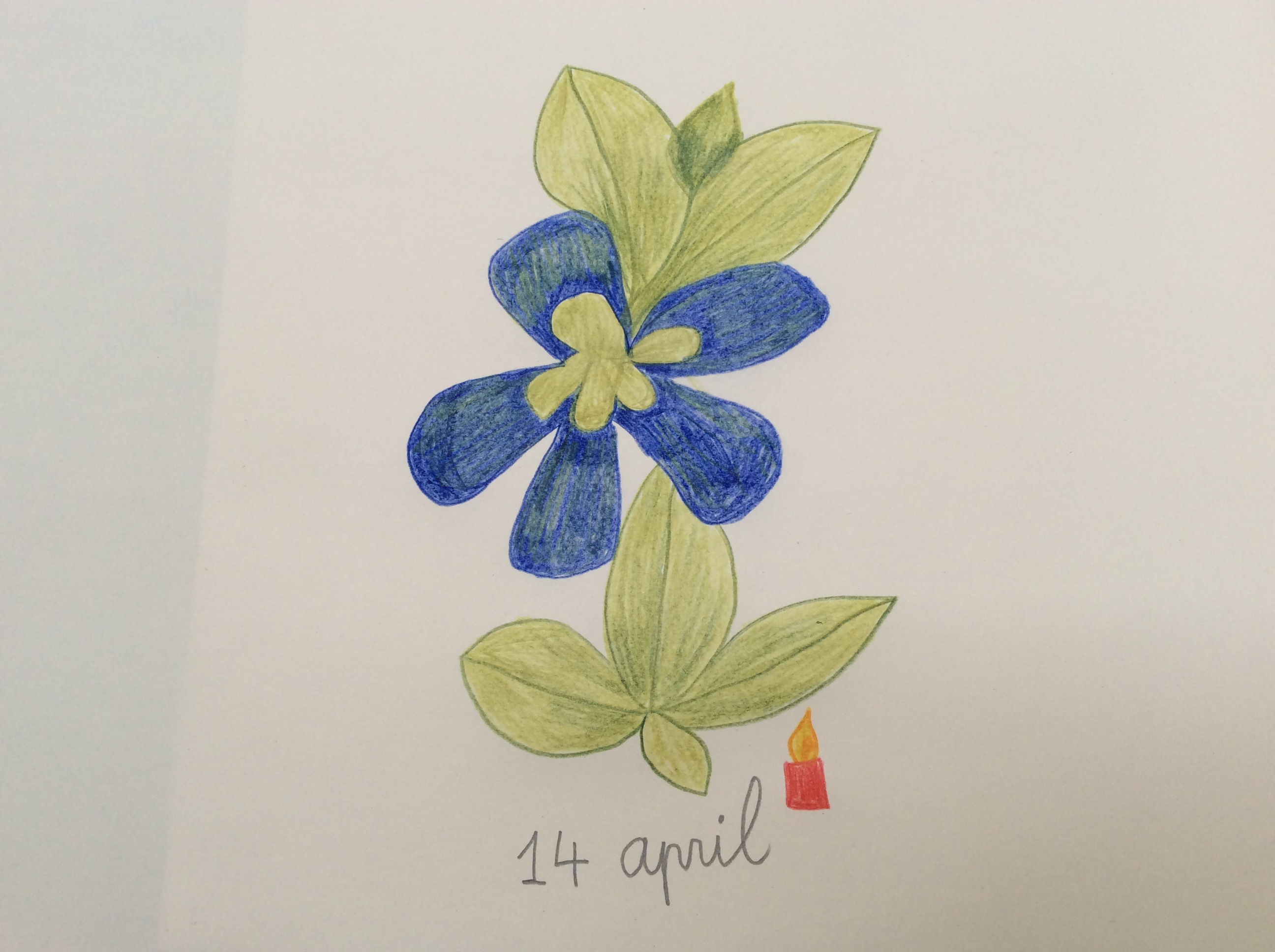 bloem