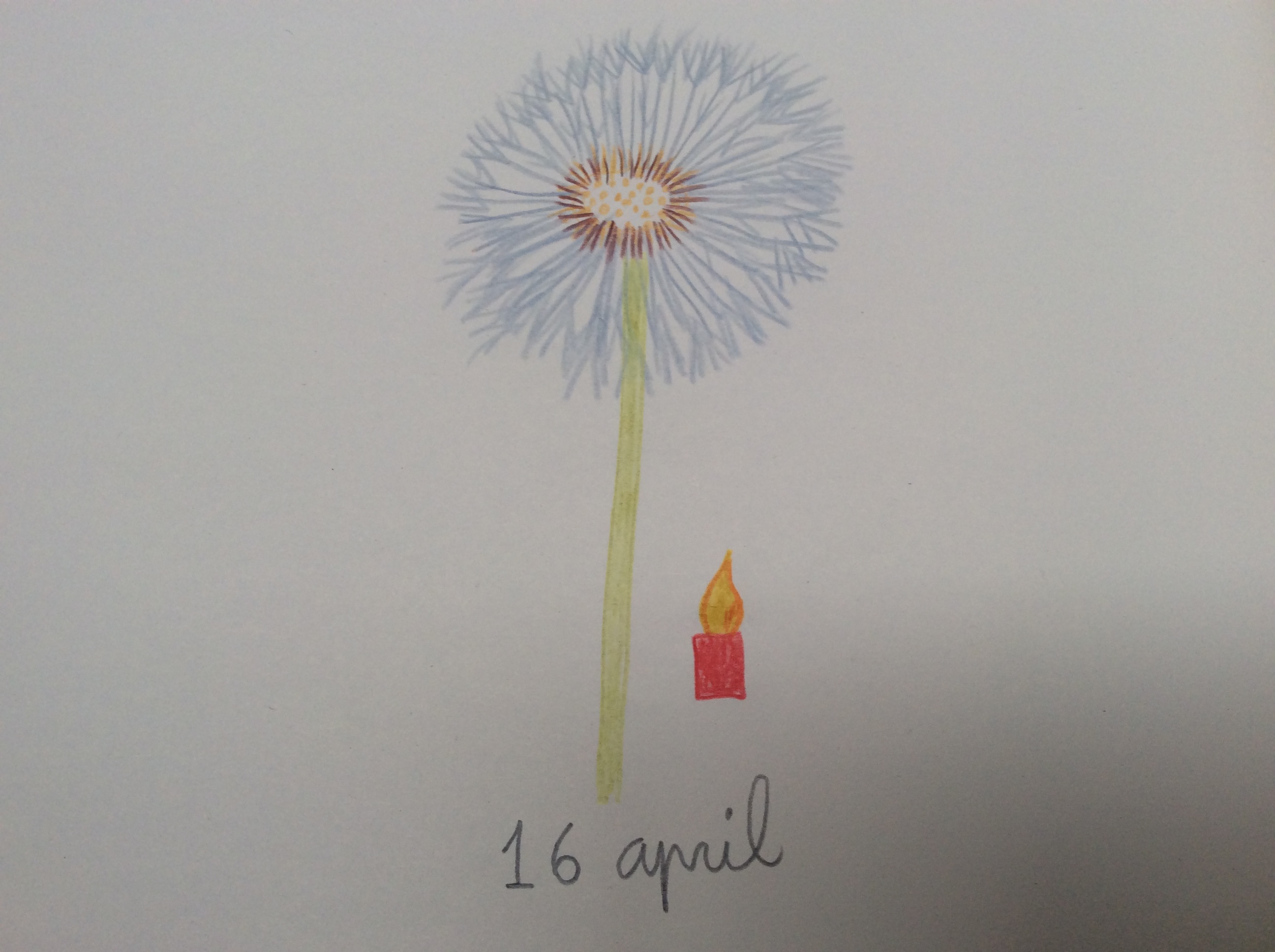 bloem
