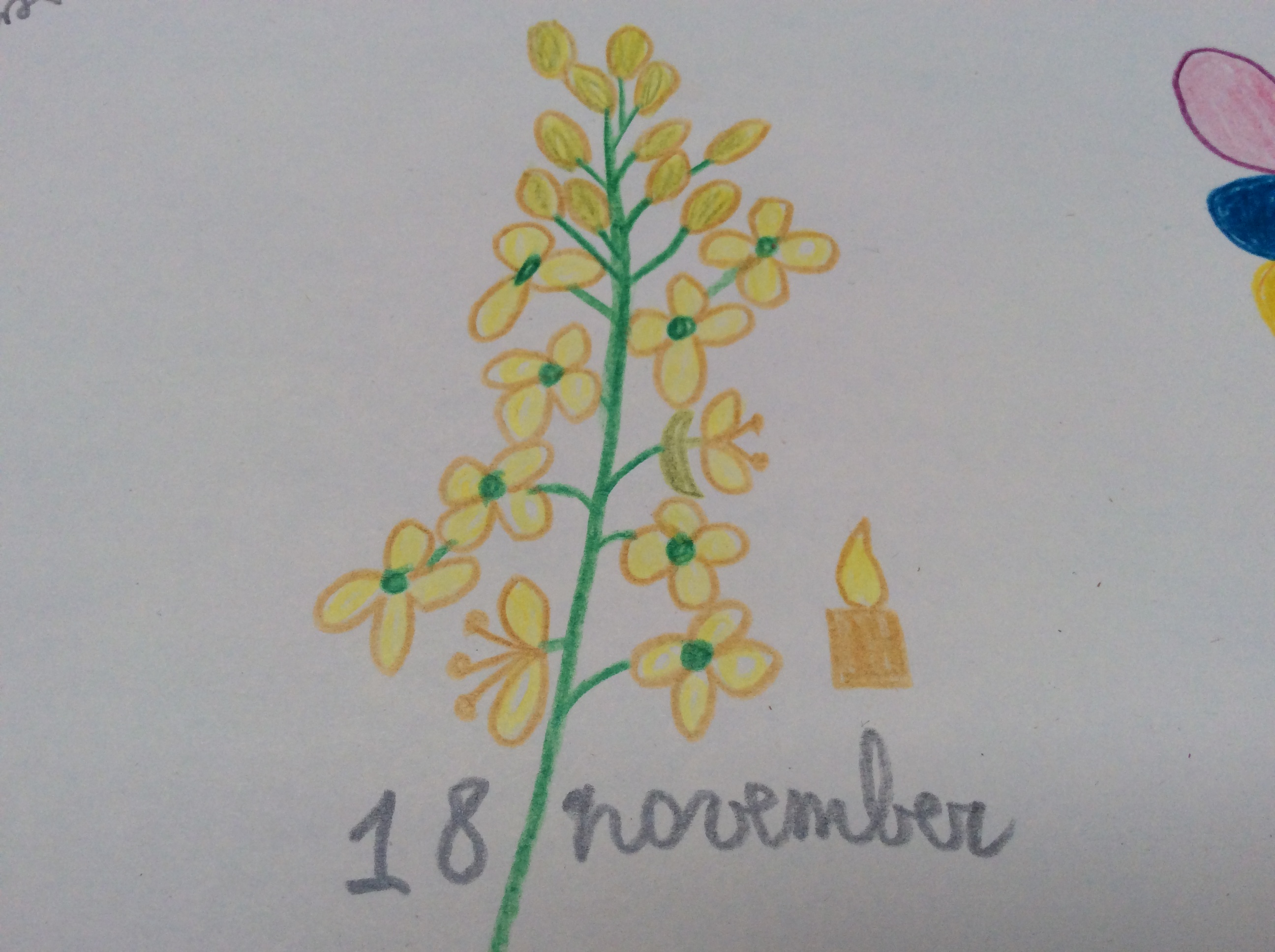 bloem