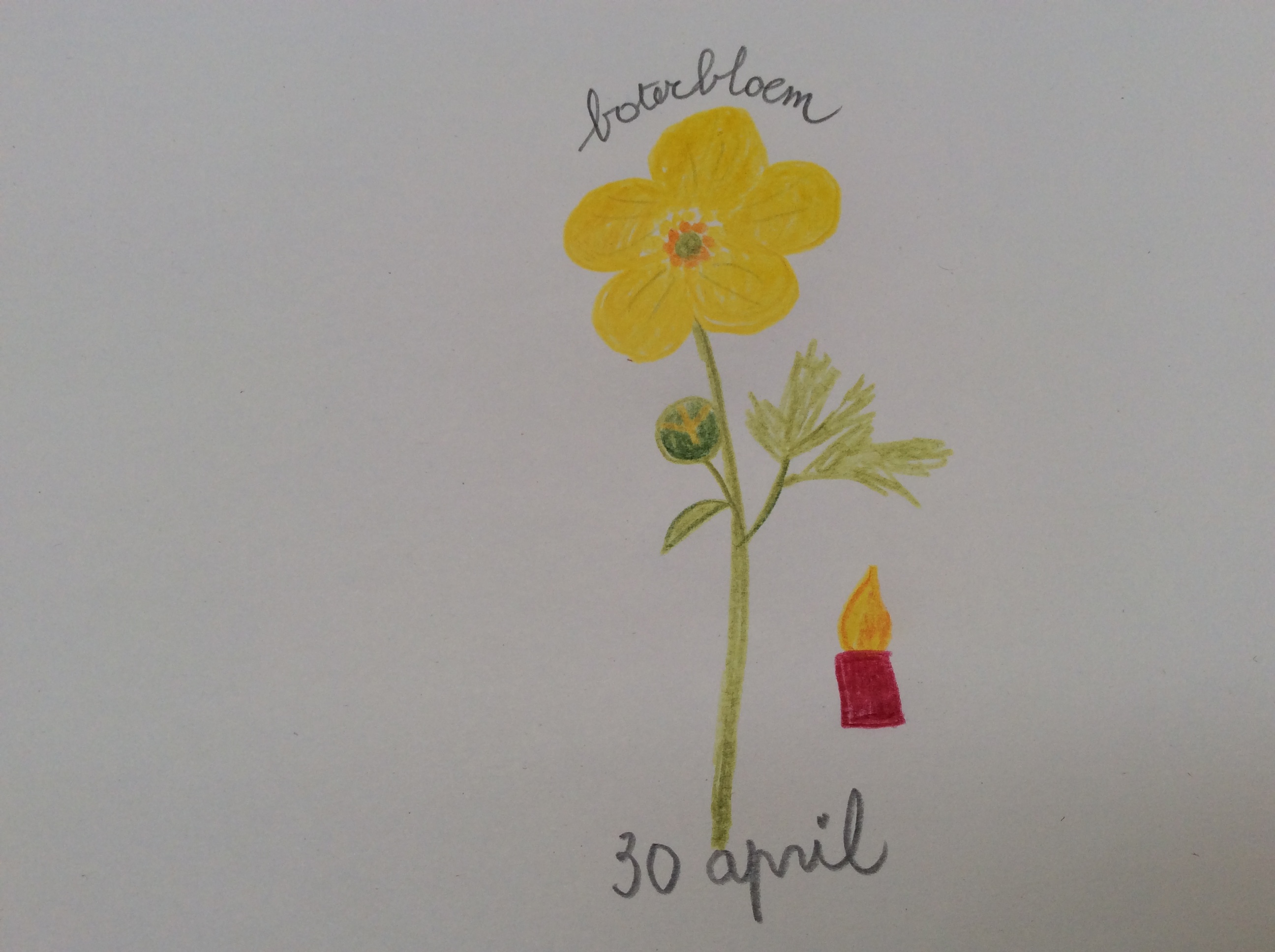 bloem