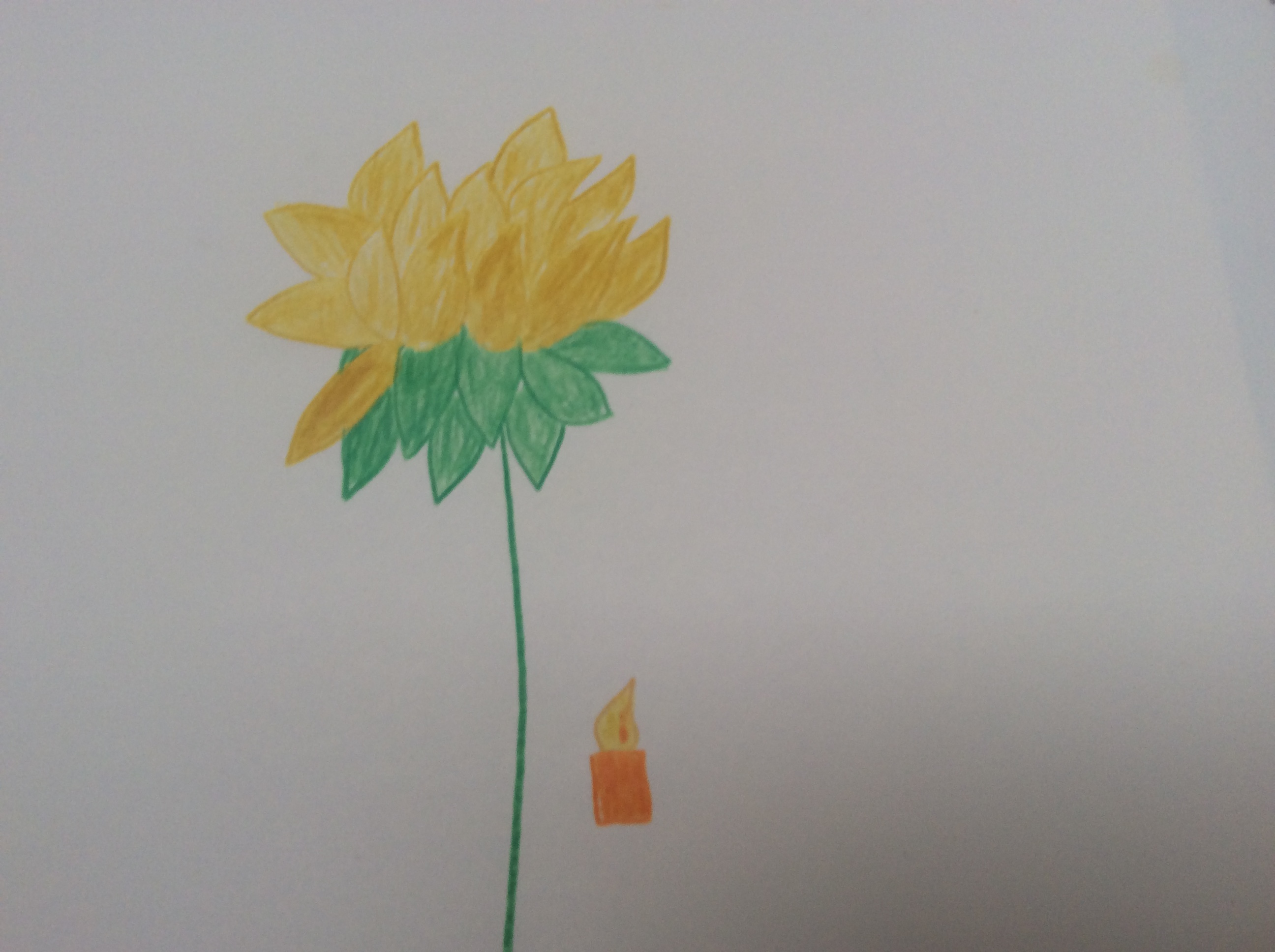 bloem