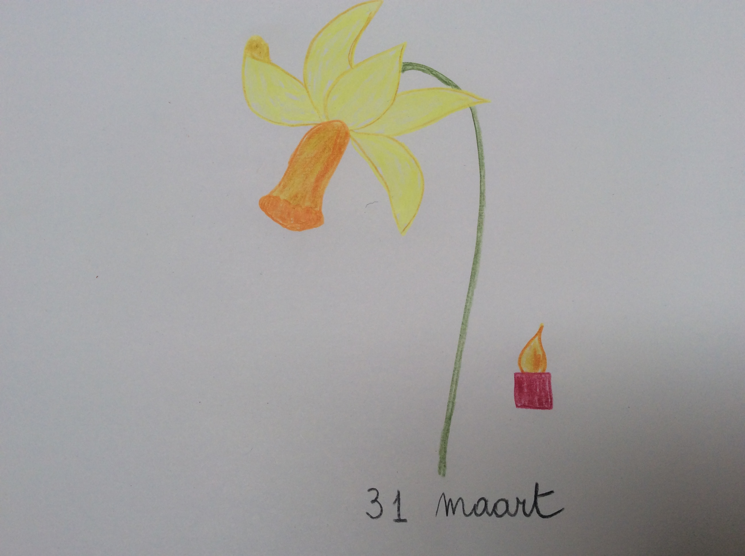 bloem